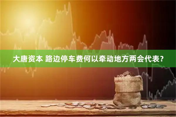 大唐资本 路边停车费何以牵动地方两会代表？