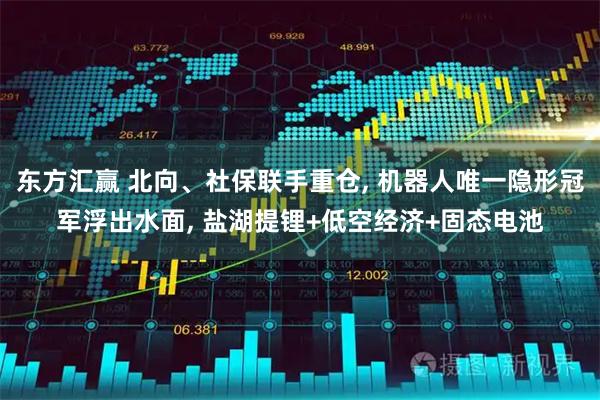 东方汇赢 北向、社保联手重仓, 机器人唯一隐形冠军浮出水面, 盐湖提锂+低空经济+固态电池