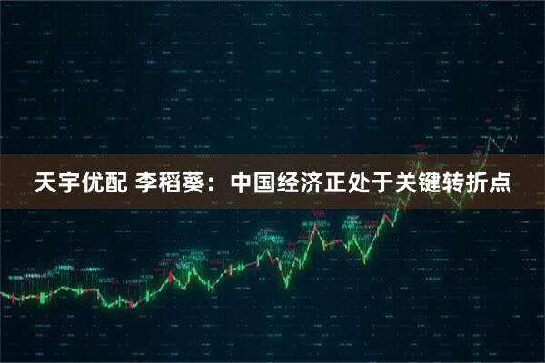 天宇优配 李稻葵:中国经济正处于关键转折点