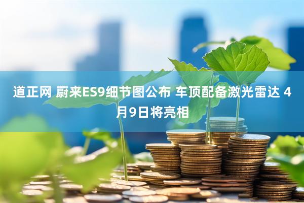 道正网 蔚来ES9细节图公布 车顶配备激光雷达 4月9日将亮相