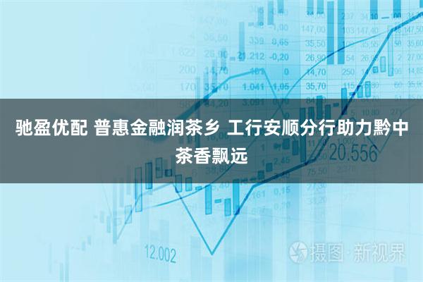 驰盈优配 普惠金融润茶乡 工行安顺分行助力黔中茶香飘远