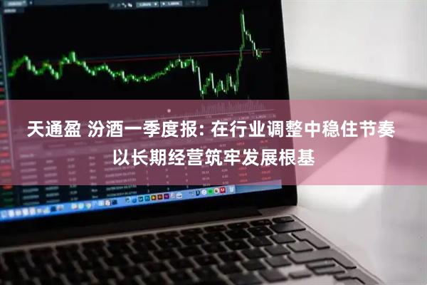天通盈 汾酒一季度报: 在行业调整中稳住节奏 以长期经营筑牢发展根基