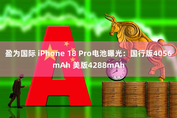 盈为国际 iPhone 18 Pro电池曝光：国行版4056mAh 美版4288mAh