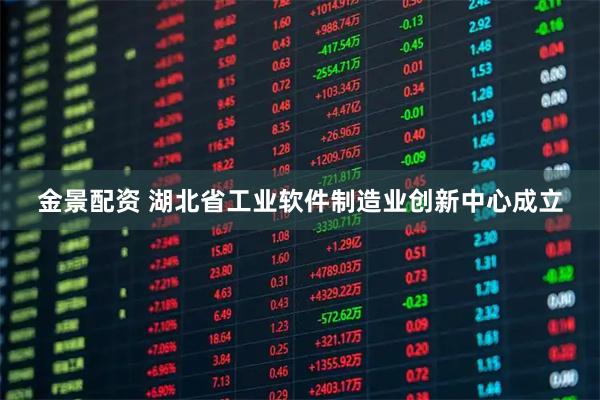 金景配资 湖北省工业软件制造业创新中心成立