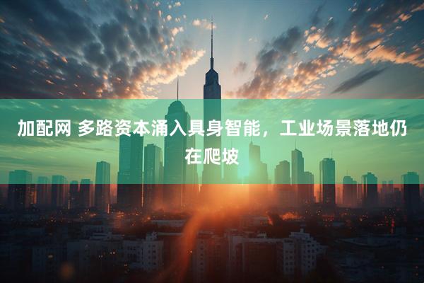 加配网 多路资本涌入具身智能，工业场景落地仍在爬坡