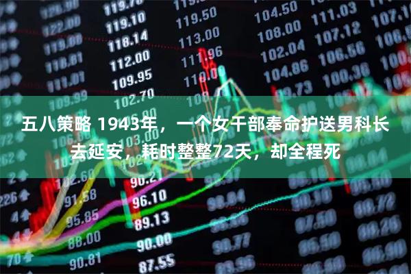 五八策略 1943年，一个女干部奉命护送男科长去延安，耗时整整72天，却全程死