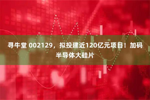 寻牛堂 002129，拟投建近120亿元项目！加码半导体大硅片