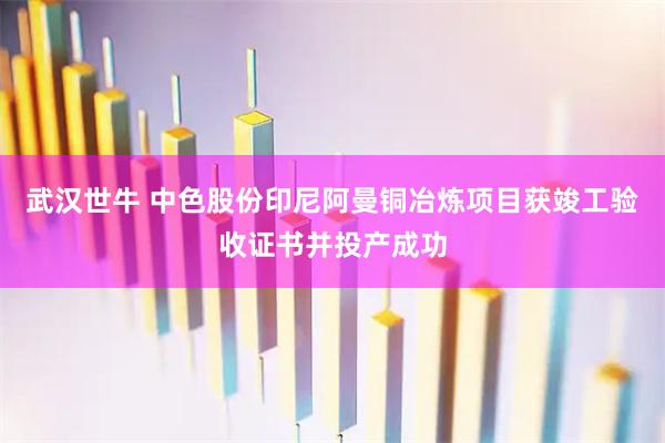 武汉世牛 中色股份印尼阿曼铜冶炼项目获竣工验收证书并投产成功